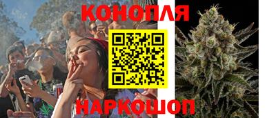 гидропоника Нальчик