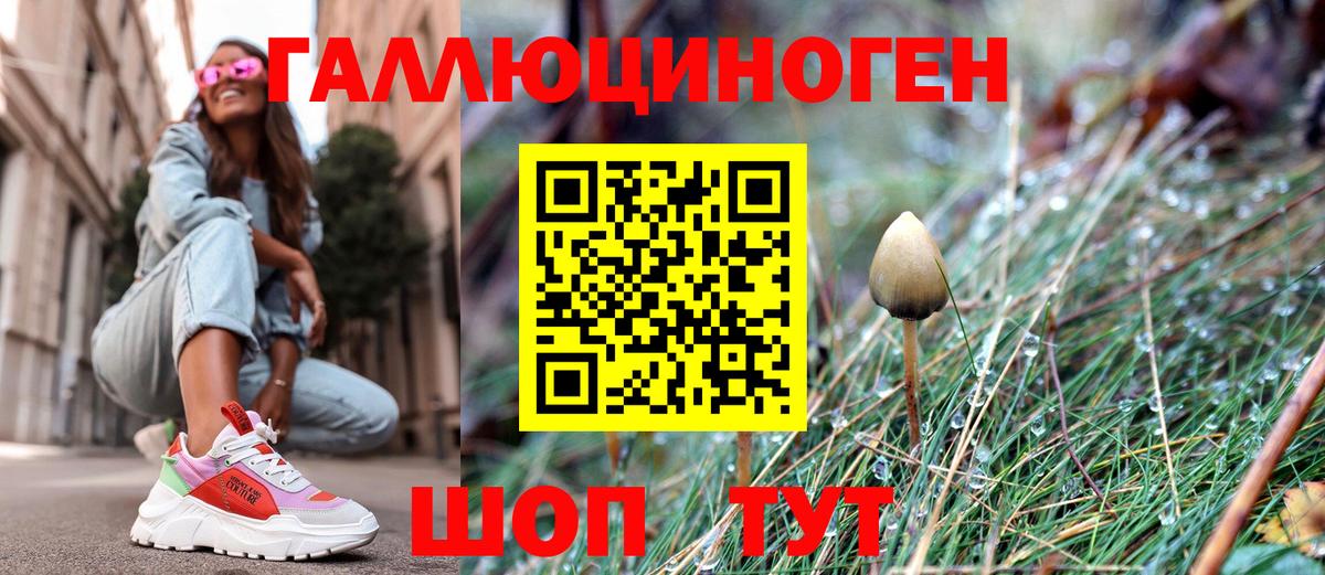 Галлюциногенные грибы Psilocybine cubensis  Галлюциногенные грибы Cubensis  Старая Купавна  Вход с VPN 